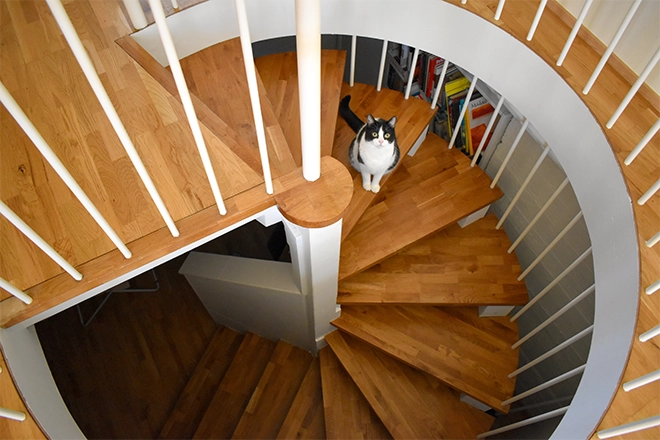 Wood spiral staircase with cat on it